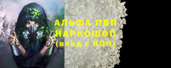 шишки Дмитриев
