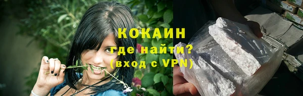 шишки Дмитриев