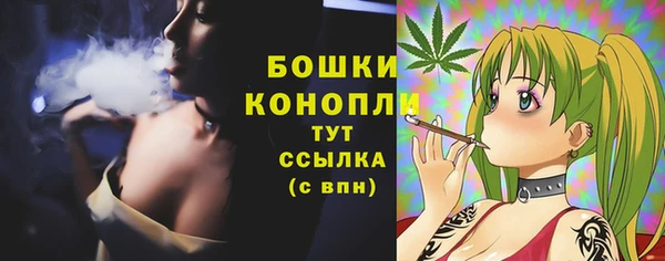 гидропоника Дмитровск