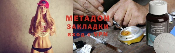 шишки Дмитриев