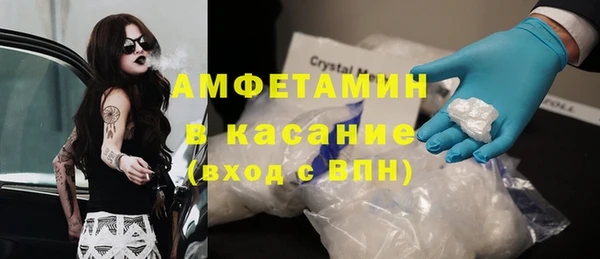 шишки Дмитриев
