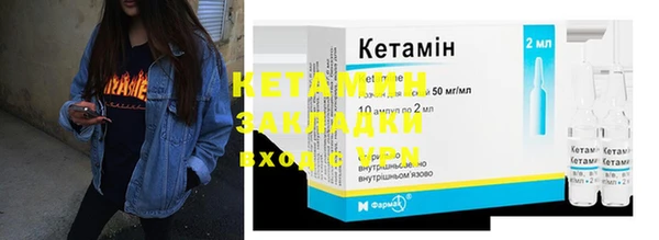 шишки Дмитриев