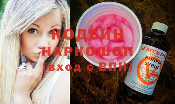 шишки Дмитриев