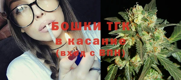 шишки Дмитриев