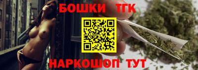 молекула духа Кингисепп