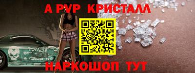 молекула духа Кингисепп