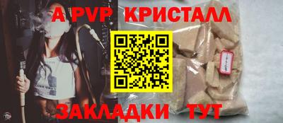 молекула духа Кингисепп