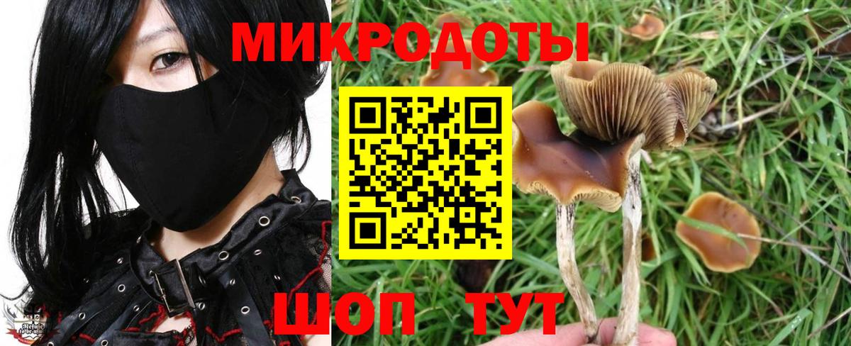 Дятьково  Псилоцибиновые грибы Magic Shrooms  Вход с VPN 